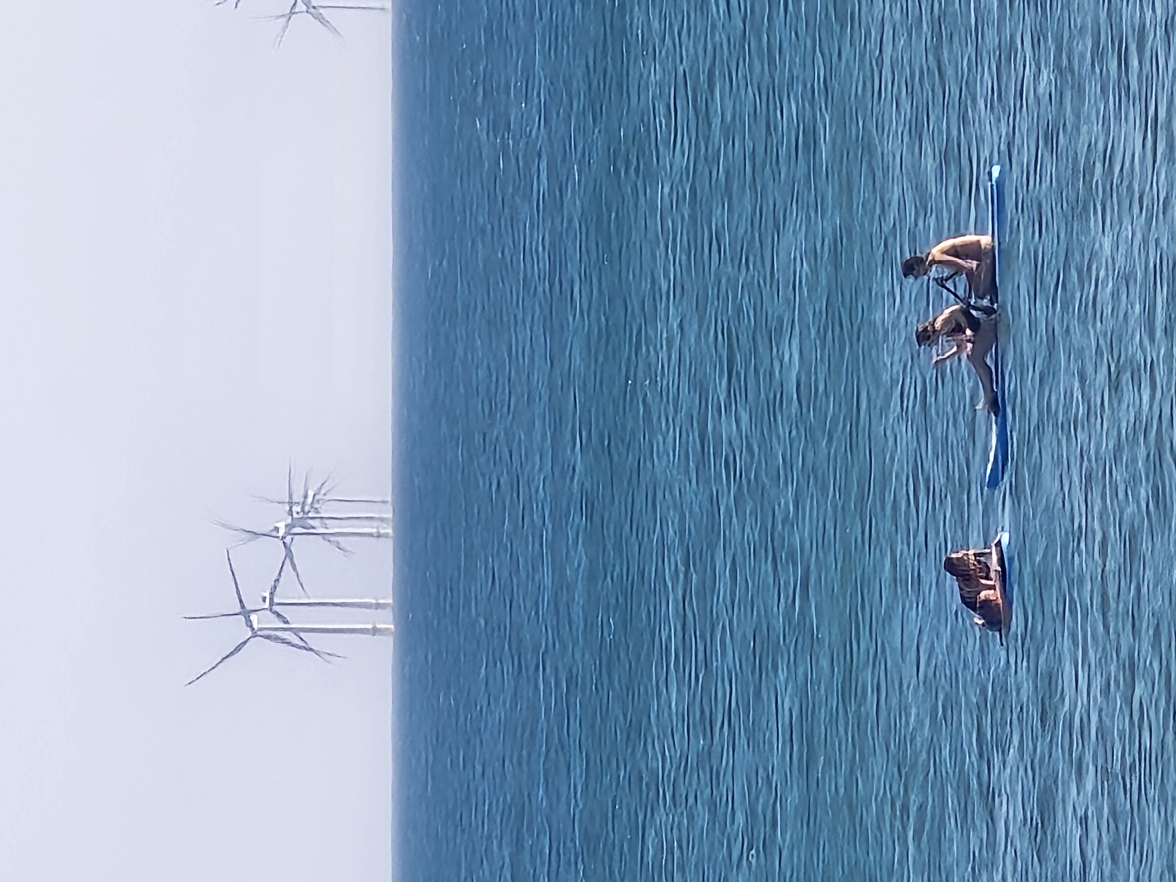 Group of paddleboarders on the water with windfarm